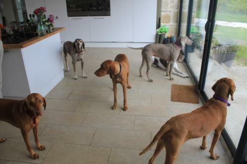 Bed & Breakfast Le Moulin Pastelier