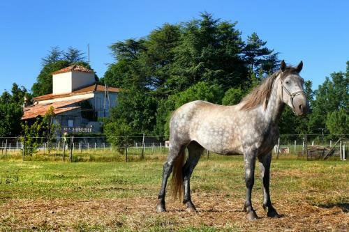 Bed & Breakfast Domaine De Majastre