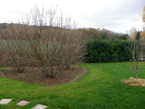 Bed & Breakfast La Raimbaudi�re