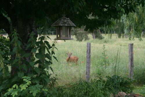 Bed & Breakfast La Raimbaudi�re
