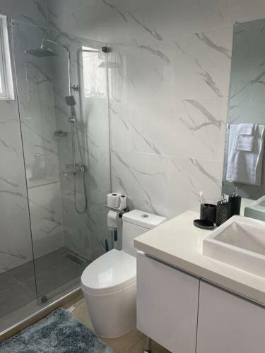 New Kingston Oasis-immaculate 2 Bedroom Apartment
