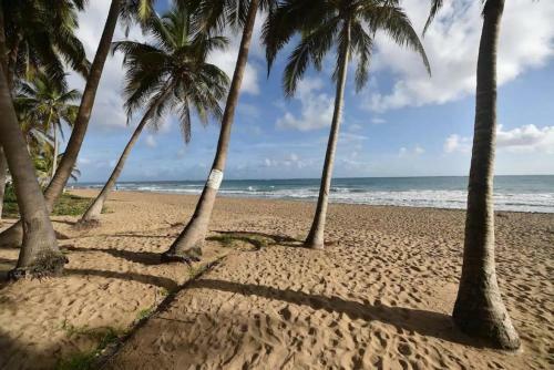 Apartamento Kasa Blue Ocean - 2 Bed 2 Bath For 4 Ocean View Balcony Beachfront Condo Pool