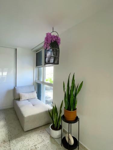 Villa Jungla Del Mar - Oceanfront City Apartment