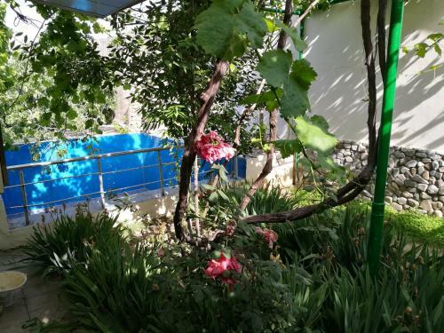 Apartamento Famile Relaxing Sweet Home
