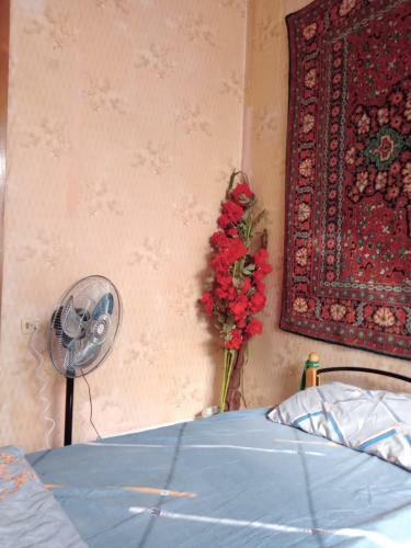 Islamabad Pak Hostel