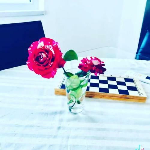 Apartamento Penthouse Abc Seaview