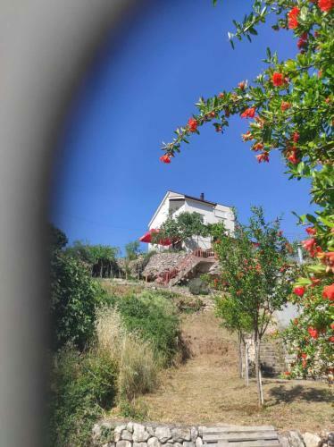 Hostal Villa The Cave
