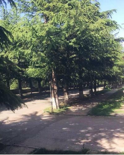 Apartamento House In Dilijan