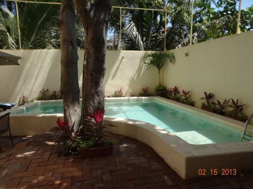 Apartamento Loft Hermoso Con Alberca Y Muy Cerca de La Playa
