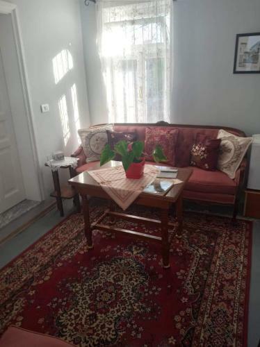 Bed & Breakfast Green Housee