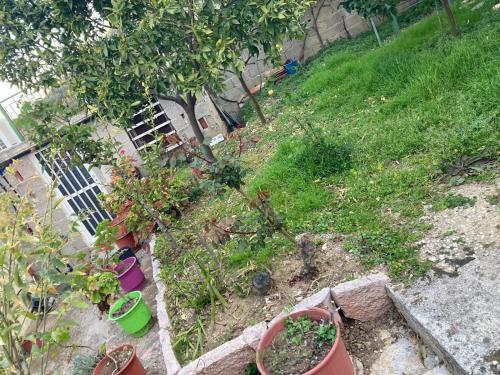 Apartamento Villa Dona