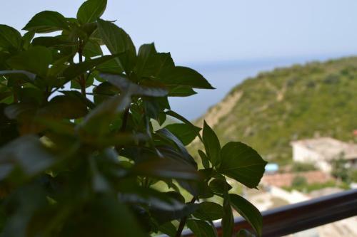 Apartamento Sea View Lukova