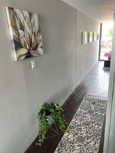 15 Cool Private Apartment In The Middle Of Cholula