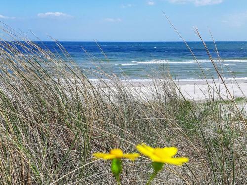 Holiday Home �lb�k Lxxxvi