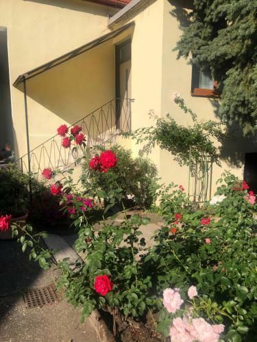 Apartamento Das Kleine Haus