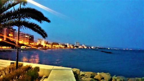 Limassol City Center Studio Apartment