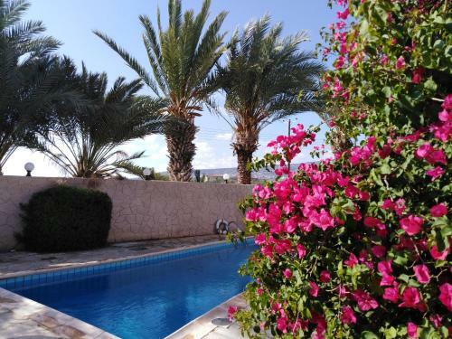 Lovely 7 Bedroom Villa