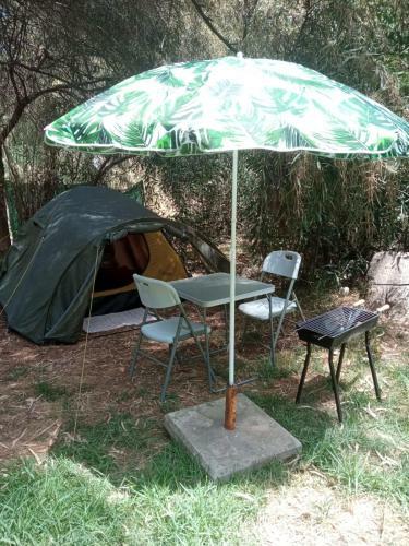 Cozy Tent In The Shade With Amenities And A Socket
