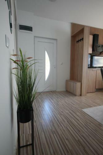 Apartman Echo