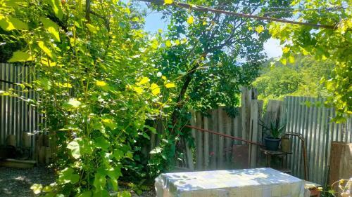 Bed & Breakfast Guest House Gogias Cixe
