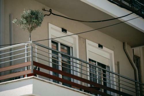 Mg Apartments