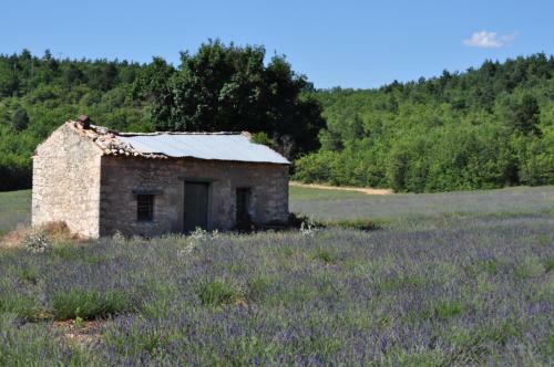 Bed & Breakfast Le Mas Des Anges