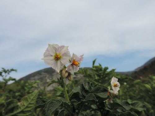 Agroturismo Ferme De Sejour Rebuffel