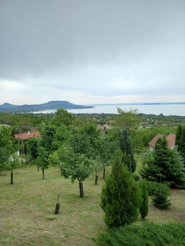 Holiday Home In Balatongy�r�k 42694