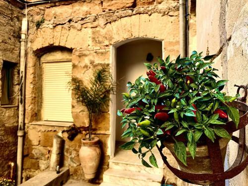 Apartamento Il Vecchio Cortile