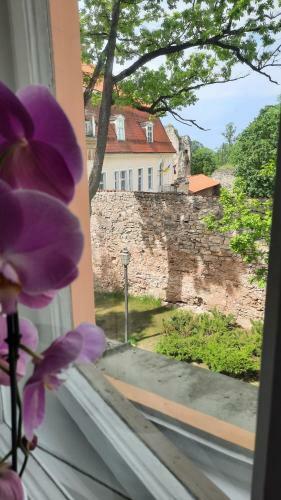 Apartamento Seloni