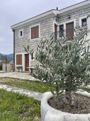 Ilic Apartmani