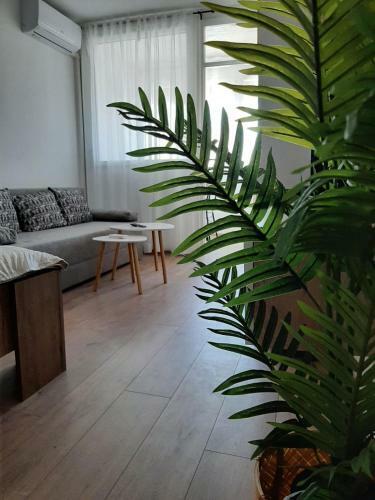 Apartman Neven