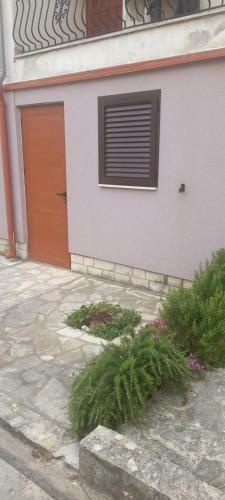 Apartman Jardas