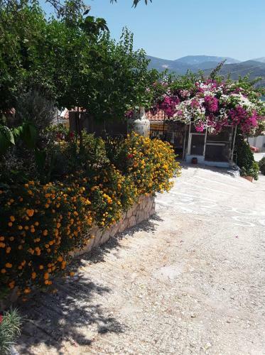 Apartamento Elenh House