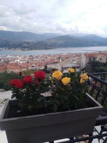 Apartamento Elenh House