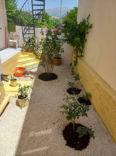 Zoe's House In Argostoli