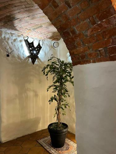 Tilt? 5 Basement Jacuzzi Apartment