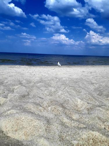 Apartamento Yurmala Relax. Sea/5min,national Forest Park