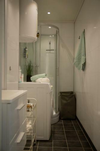 Light Sentral Apartment �lesund