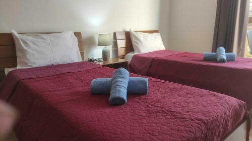 Hostal San Salvatore Home