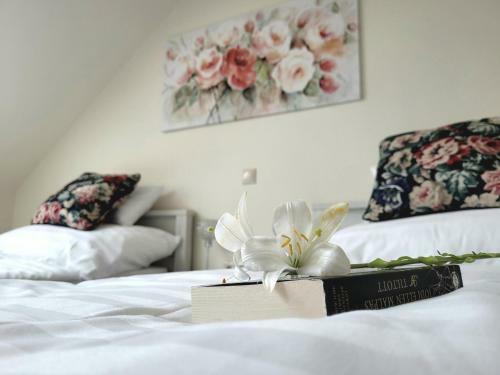 Hostal Silver Lodge Vend�gh�z Egerszal�k