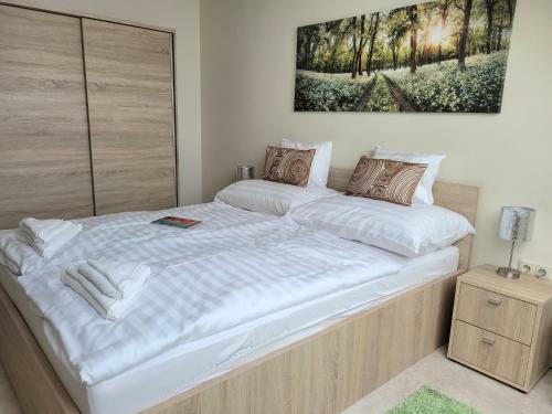 Hostal Silver Lodge Vend�gh�z Egerszal�k