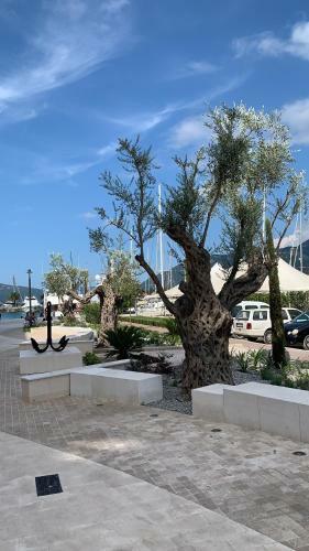 Dark Stallion Apartment In Porto Montenegro