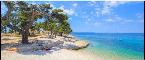 Apartman Punta Radman