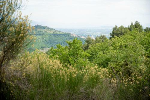 Apartamento Residenza San Fortunato
