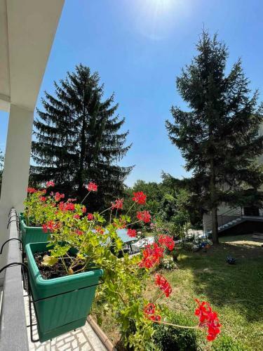 Apartamento Vila Ruzica