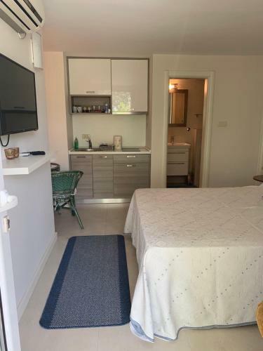 Apartment Branka Fortunella