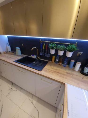 Apartament Rainbow