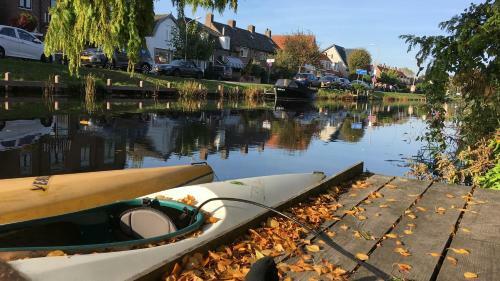 Huis Met De Enorme Boom