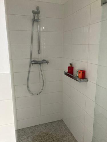 Huis Met De Enorme Boom